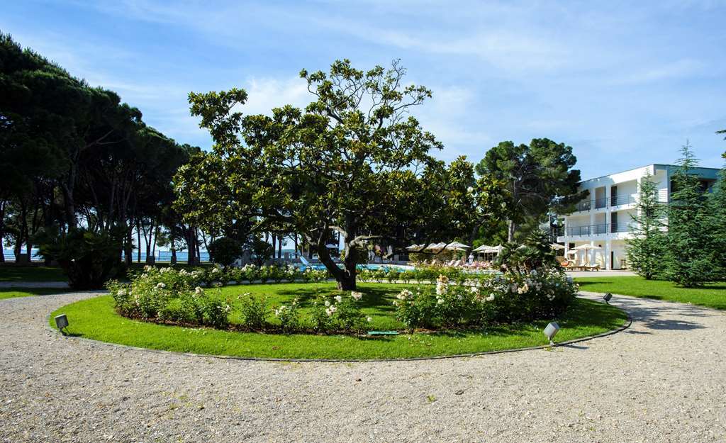 Falkensteiner Adriana - Adults Only 4*